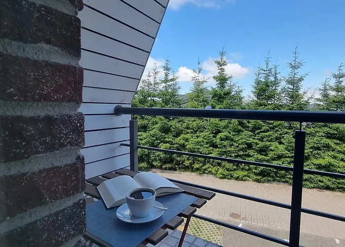 I Rooftop Terrace I Cohost *