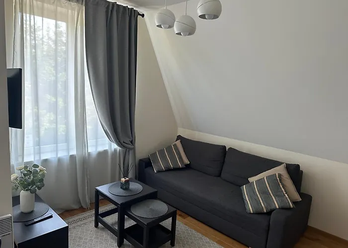 Apartment I Rooftop Terrace I Cohost Palanga