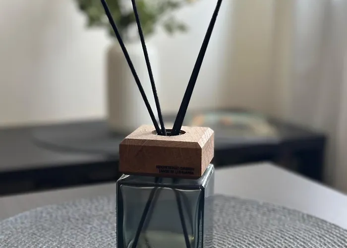 I Rooftop Terrace I Cohost Palanga